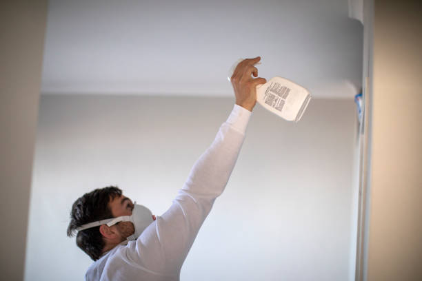 Best Basement Mold Remediation in Lake Holiday, IL