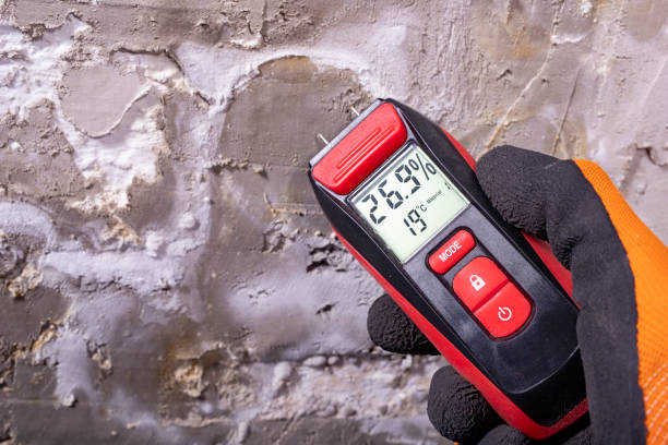 Best Kitchen Mold Remediation in Lake Holiday, IL