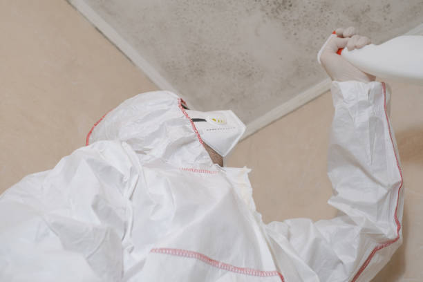Best HVAC Mold Remediation in Lake Holiday, IL